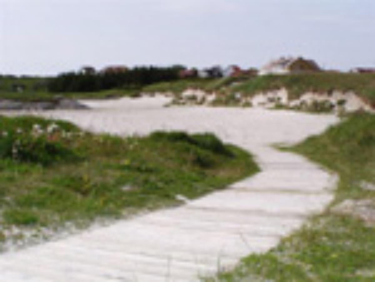 Treklopp sanddyner-Vest-1.jpg